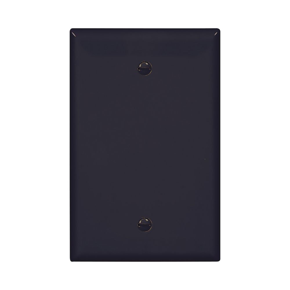 Eaton 1-Gang 1-Pack Black/white Blank Midsize Wall Plate PJ13BK/PJ13W
